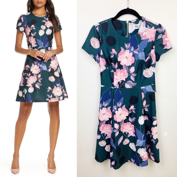 Eliza J Dresses & Skirts - Eliza J Fit & Flare Floral Print Skater Mini Dress